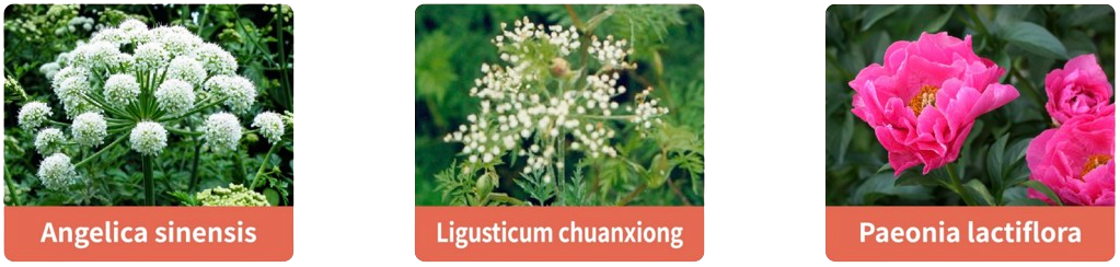 [Ingrédients Fleurs HemoHIM]